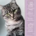 zeck-attack-katze-spot-on-250ml-4webp-14078