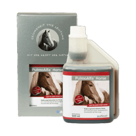 alfavet PulmoAlfa Horse zur Unterstützung der physiologischen Abwehrkräfte der Atemwege 500 ml