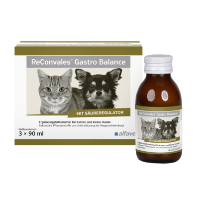 alfavet ReConvales Gastro Balance Ergänzungsfuttermittel für Katzen und kleine Hunde zur Unterstützung der Magenschleimhaut 3 x 90 ml