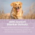 zeck-attack-hund-spot-on-250ml-jpg-13888