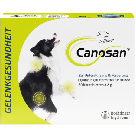 Canosan Kautabletten für die Gelenkgesundheit bei Hunden 30 Tabletten im Blister