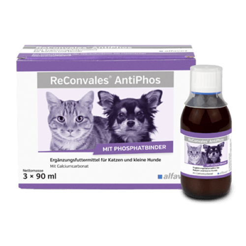 reconvales-antiphos