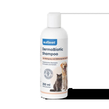 alfavet-dermabiotic-shampoo-250ml-09-25-web